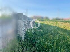Terreno R�stico - Rates, P�voa de Varzim, Porto - Miniatura: 2/3
