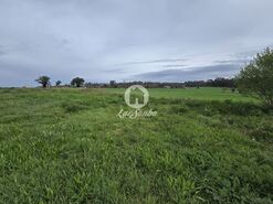 Terreno R�stico - A Ver-o-Mar, P�voa de Varzim, Porto - Miniatura: 17/26