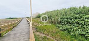 Terreno R�stico - Vila do Conde, Vila do Conde, Porto - Miniatura: 2/11