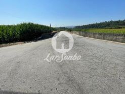 Terreno R�stico - Bagunte, Vila do Conde, Porto - Miniatura: 4/4
