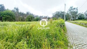 Terreno R�stico - S�o Pedro Fins, Amarante, Porto - Miniatura: 10/15