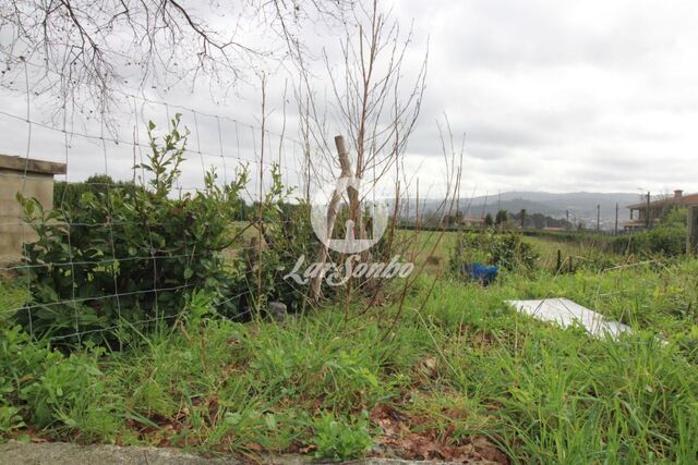 Terreno R�stico - Areias, Santo Tirso, Porto - Imagem grande