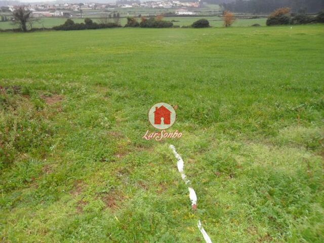 Terreno R�stico - Balazar, P�voa de Varzim, Porto - Imagem grande