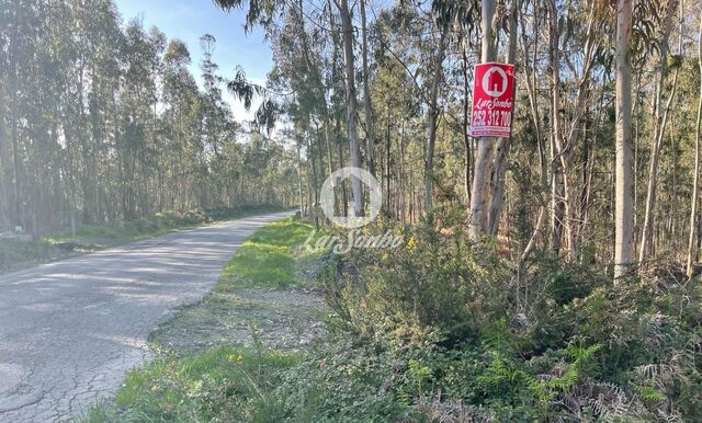 Terreno R�stico - Rates, P�voa de Varzim, Porto - Imagem grande