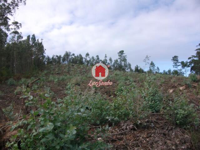 Terreno R�stico - Malta, Vila do Conde, Porto - Imagem grande