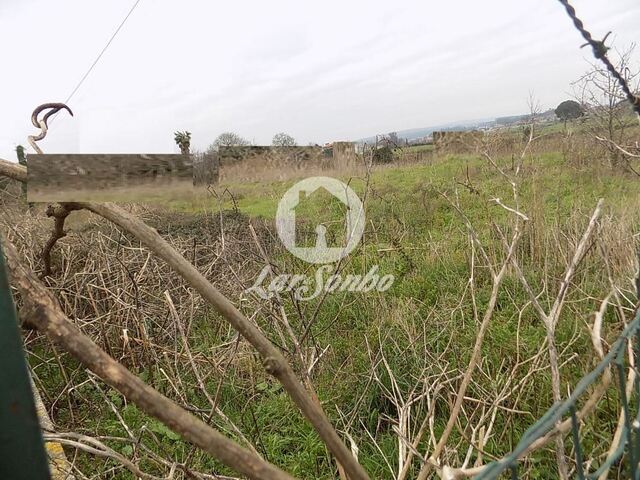 Terreno R�stico - Balazar, P�voa de Varzim, Porto - Imagem grande