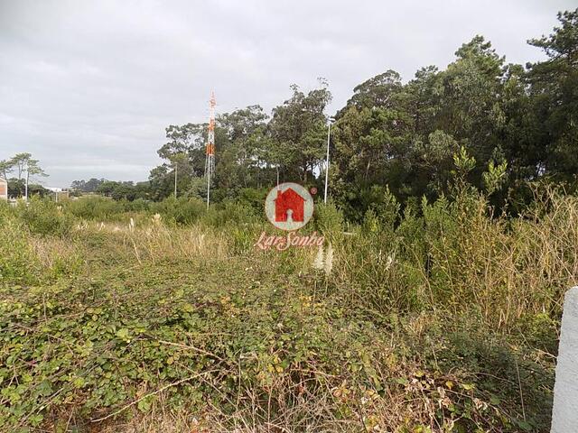 Terreno R�stico - Apulia, Esposende, Braga - Imagem grande