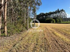 Terreno R�stico - P�voa de Varzim, P�voa de Varzim, Porto