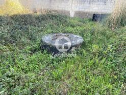 Terreno R�stico - CORONADO, Trofa, Porto - Miniatura: 5/8