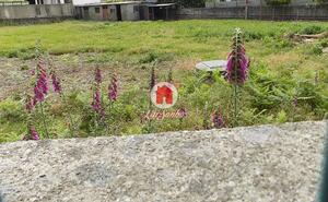 Terreno Rstico - Landim, Vila Nova de Famalico, Braga - Miniatura: 2/8