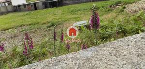 Terreno Rstico - Landim, Vila Nova de Famalico, Braga - Miniatura: 3/8