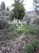 Moradia T2 - Mondim de Basto, Mondim de Basto, Vila Real - Miniatura: 3/12