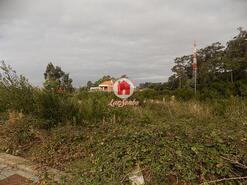 Terreno Rstico - Apulia, Esposende, Braga - Miniatura: 1/3