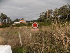 Terreno Rstico - Apulia, Esposende, Braga - Miniatura: 2/3