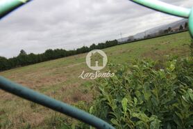Terreno R�stico - Areias, Santo Tirso, Porto - Miniatura: 2/3