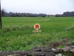 Terreno R�stico - Balazar, P�voa de Varzim, Porto - Miniatura: 1/5