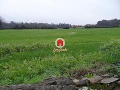 Terreno R�stico - Balazar, P�voa de Varzim, Porto - Miniatura: 2/5