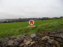 Terreno R�stico - Balazar, P�voa de Varzim, Porto - Miniatura: 5/5