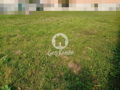 Terreno R�stico - Gi�o, Vila do Conde, Porto - Miniatura: 1/2
