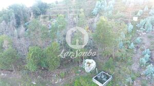 Terreno R�stico - Joane, Vila Nova de Famalic�o, Braga - Miniatura: 4/7