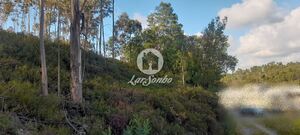 Terreno R�stico - Bougado, Trofa, Porto - Miniatura: 3/32