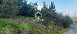 Terreno R�stico - Bougado, Trofa, Porto - Miniatura: 10/32