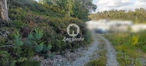 Terreno R�stico - Bougado, Trofa, Porto - Miniatura: 17/32