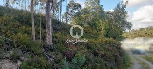 Terreno R�stico - Bougado, Trofa, Porto - Miniatura: 18/32