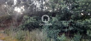 Terreno R�stico - Bougado, Trofa, Porto - Miniatura: 20/32