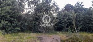 Terreno R�stico - Bougado, Trofa, Porto - Miniatura: 27/32