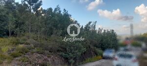 Terreno R�stico - Bougado, Trofa, Porto - Miniatura: 29/32