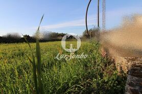 Terreno R�stico - Touguinha, Vila do Conde, Porto - Miniatura: 1/2