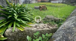 Terreno R�stico - Gondifelos, Vila Nova de Famalic�o, Braga - Miniatura: 2/4