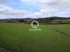 Terreno R�stico - Ribeir�o, Vila Nova de Famalic�o, Braga - Miniatura: 2/4