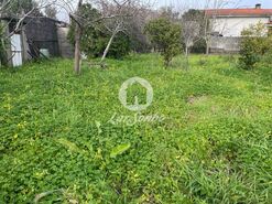 Terreno R�stico - Covelas, Trofa, Porto - Miniatura: 3/8