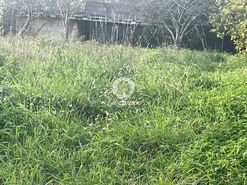 Terreno R�stico - Covelas, Trofa, Porto - Miniatura: 4/8
