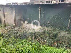 Terreno R�stico - Covelas, Trofa, Porto - Miniatura: 5/8