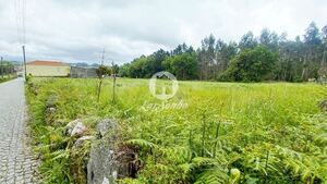 Terreno R�stico - S�o Pedro Fins, Amarante, Porto - Miniatura: 5/15