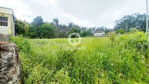 Terreno R�stico - S�o Pedro Fins, Amarante, Porto - Miniatura: 11/15