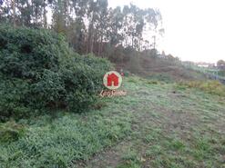 Terreno R�stico - Arnoso, Vila Nova de Famalic�o, Braga - Miniatura: 1/5