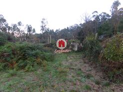 Terreno R�stico - Arnoso, Vila Nova de Famalic�o, Braga - Miniatura: 3/5