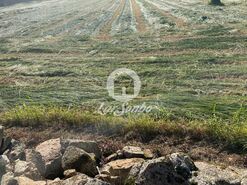 Terreno R�stico - Rio Mau, Vila do Conde, Porto - Miniatura: 1/3
