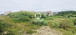 Terreno R�stico - Vila do Conde, Vila do Conde, Porto - Miniatura: 1/11