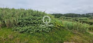 Terreno R�stico - Vila do Conde, Vila do Conde, Porto - Miniatura: 6/11