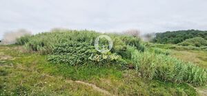 Terreno R�stico - Vila do Conde, Vila do Conde, Porto - Miniatura: 11/11