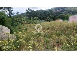 Terreno R�stico - Santo Tirso, Santo Tirso, Porto - Miniatura: 2/10