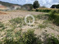 Terreno R�stico - Covelas, Trofa, Porto - Miniatura: 4/14