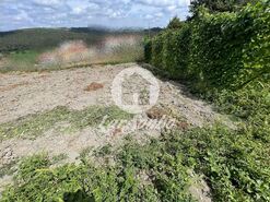 Terreno R�stico - Covelas, Trofa, Porto - Miniatura: 9/14