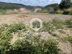 Terreno R�stico - Covelas, Trofa, Porto - Miniatura: 10/14