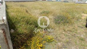 Terreno R�stico - Agu�adoura, P�voa de Varzim, Porto - Miniatura: 1/2